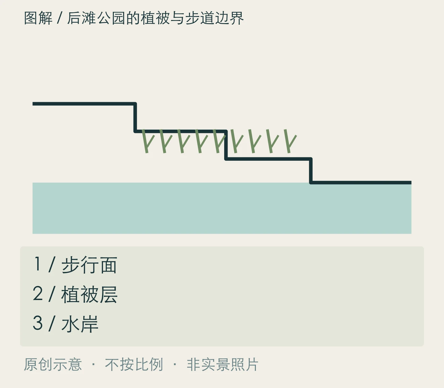 后滩公园的植被与步道边界:步行面、植被层、水岸关系示意