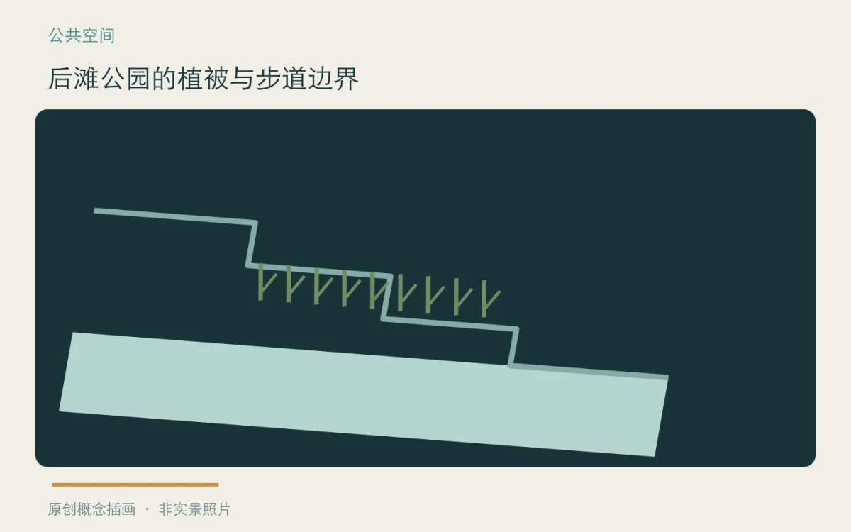后滩公园的植被与步道边界:主题概念插画