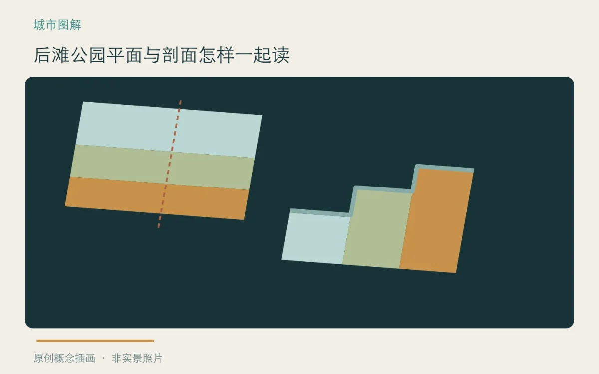 后滩公园平面与剖面怎样一起读:主题概念插画